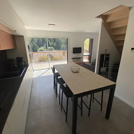 Apartament Duplex 3 Etoile Du Sud Le Lioran