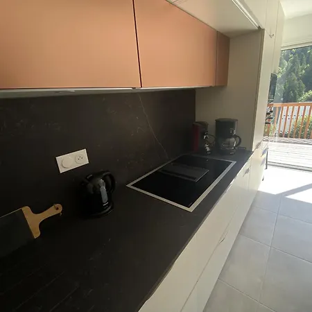 Duplex 3 Etoile Du Sud * Le Lioran
