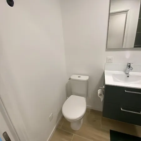 Duplex 3 Etoile Du Sud * Le Lioran